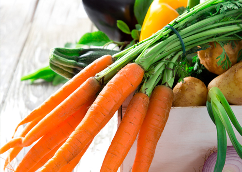 如何挑选新鲜食材：从色泽到质感的实用指南