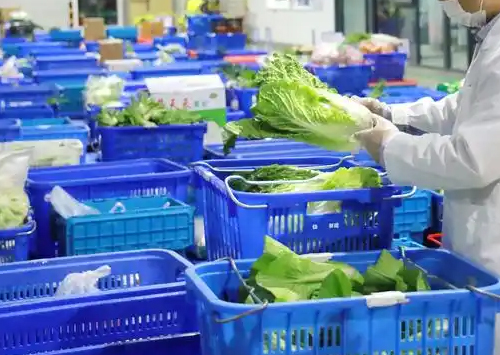 食材配送行业仓储管理趋势：分区分类与温控精细化